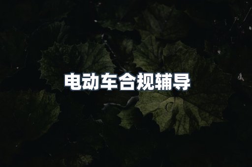电动车合规辅导